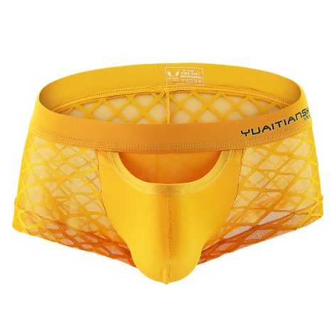 Men's Underwear Breathable Sexy Nylon Mesh Underwear Youth Boxer Briefs